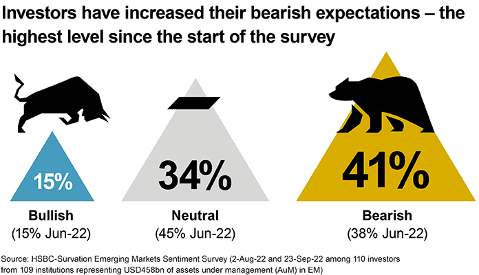 Investors have increased their bearish expectations - the highest level since the start of the survey